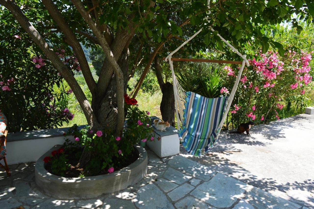 Alikias Country House Panormos  Bagian luar foto