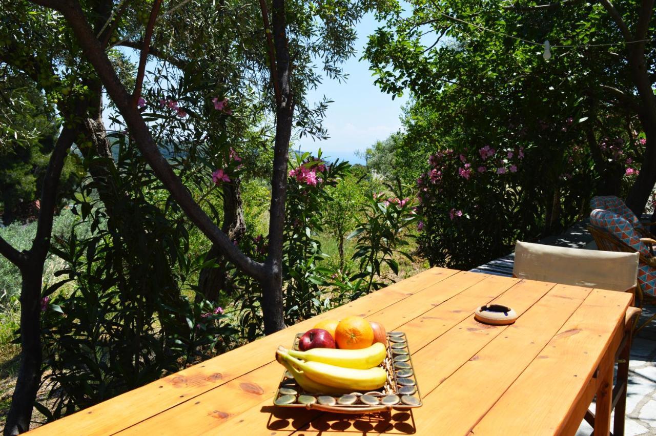 Alikias Country House Panormos  Bagian luar foto