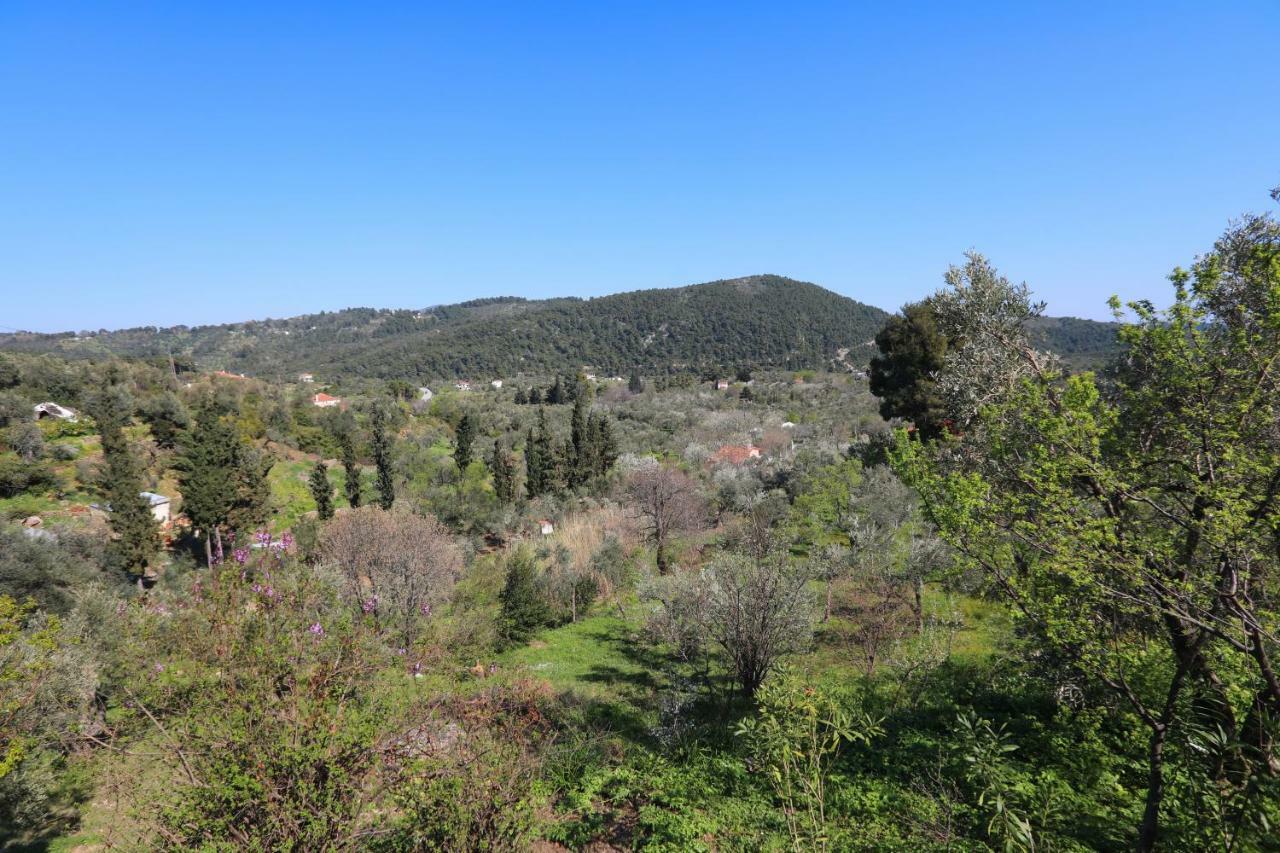 Alikias Country House Panormos  Bagian luar foto