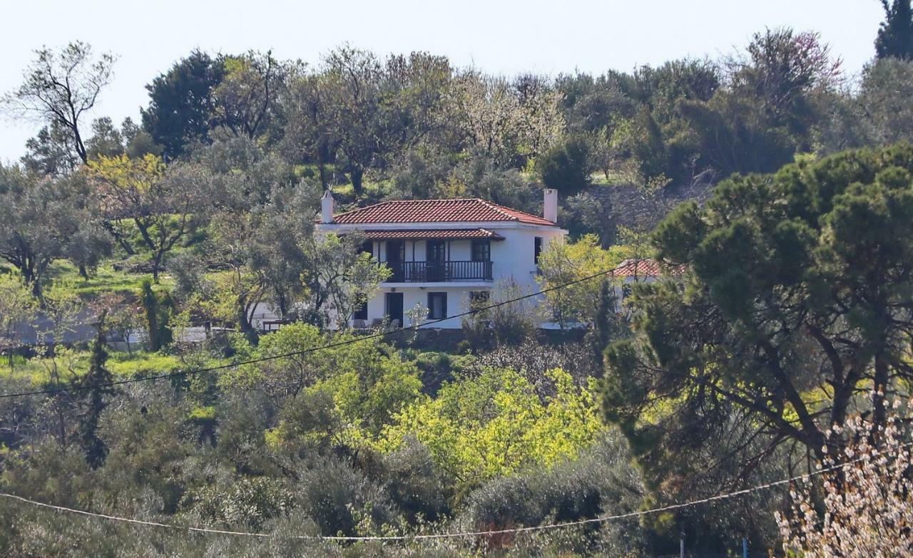 Alikias Country House Panormos  Bagian luar foto